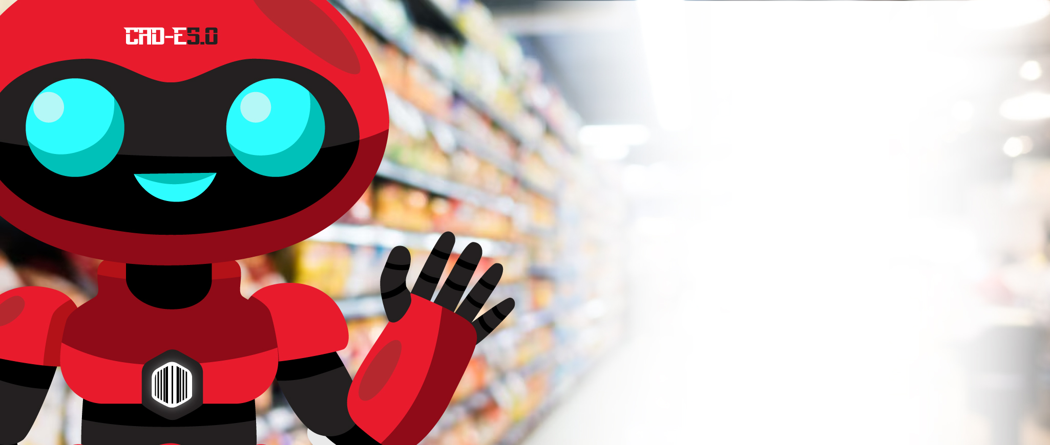 Basket of Goods Survey 2025